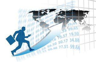 LEYU乐鱼体育官方网站-中国篮球职业联赛赛事运营风险评估与管理对策,篮球赛事安全风险