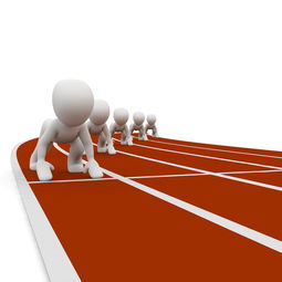 LEYU乐鱼体育官方网站-中国篮球职业联赛赛事运营风险评估与管理对策,篮球赛事安全风险