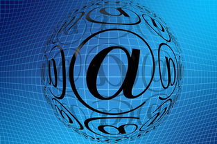 Leyu Sports (乐鱼体育)-中国篮球职业联赛青训体系创新发展模式分析，中国青年篮球队