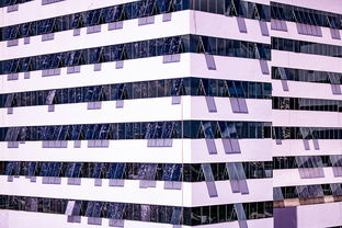 乐鱼官网-中国篮球职业联赛青训体系建设与优化，中国青年篮球队