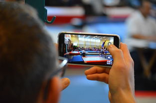 乐鱼电竞在线平台-中国篮球联赛市场细分与营销研究，篮球联赛介绍