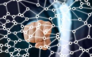 乐鱼电竞在线平台-中国篮球联赛市场细分与营销研究,篮球联赛介绍