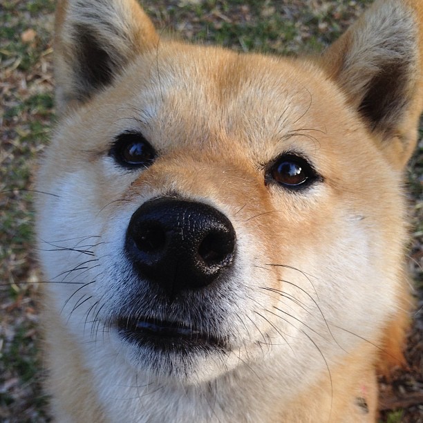 乐鱼电竞在线平台-分段节奏掌控:中国逐段推进更清晰,分段sem