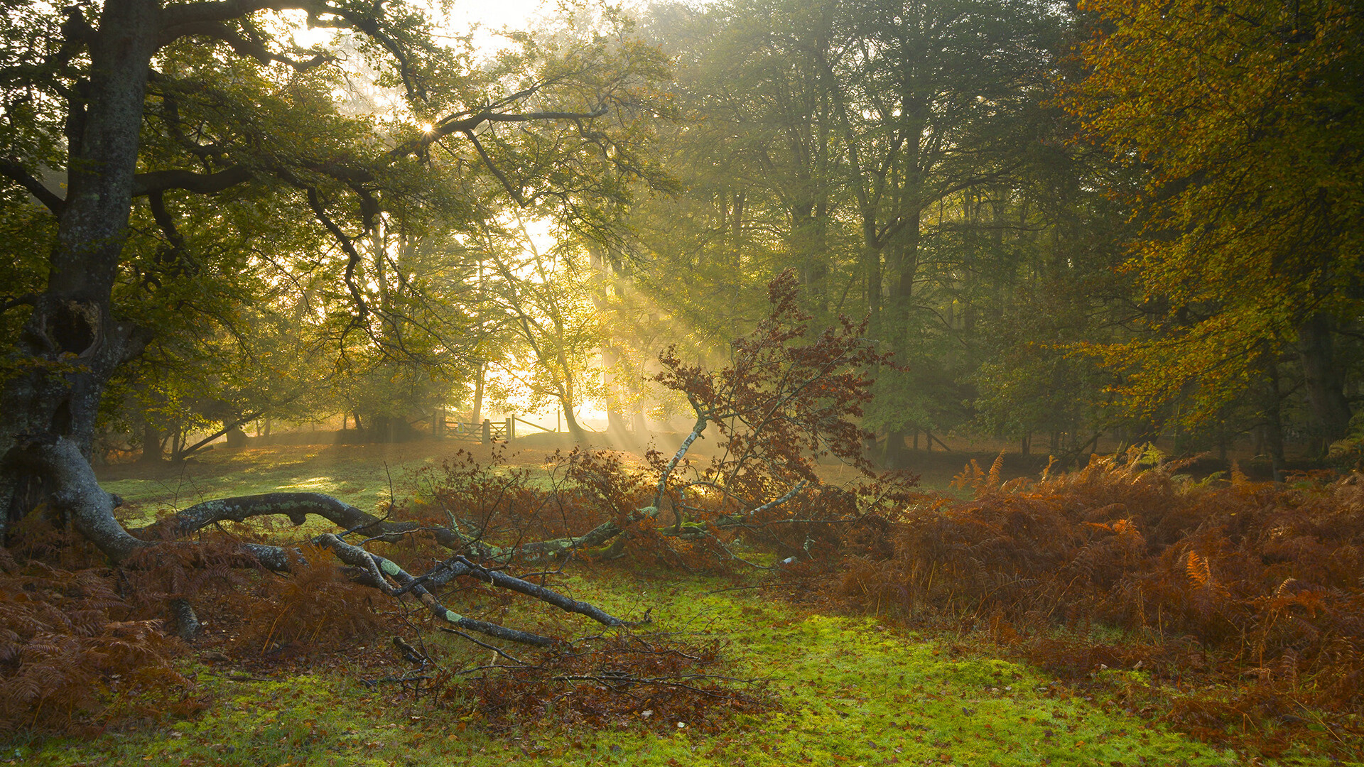 乐鱼电竞在线平台登录入口-多项目均衡发展,实力逐步增强,多项目均衡发展,实力逐步增强什么能力