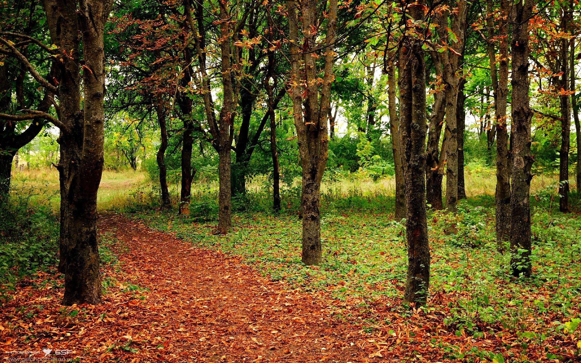 leyu乐鱼体育综合-替补球员在关键时刻引爆全场的典型案例,替补球员的作用