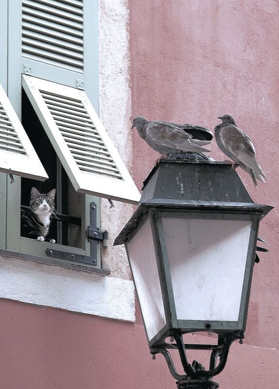 leyu乐鱼官网登录入口-中国三人篮球国家队集中训练备战世锦赛，中国 三人篮球