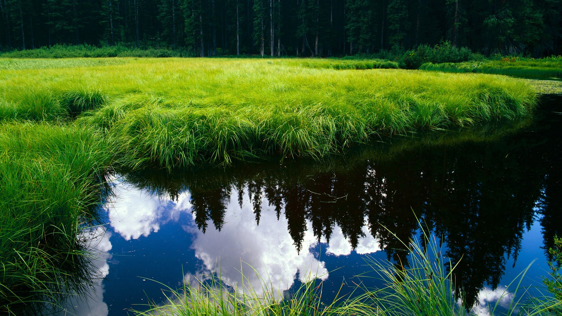 乐鱼官网-希腊女篮在欧洲锦标赛中屡获佳绩，续写荣誉篇章，希腊女子篮球超级联赛ds