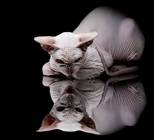 乐鱼官网-篮球训练营引入智能化考勤系统提升管理效率,篮球训练营规章制度